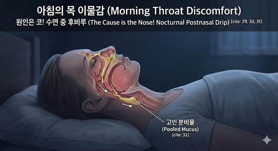 어두운 방에서 침대에 반듯하게 누워 자는 여성의 투시도 일러스트. 밤사이 코에서 나온 분비물이 중력에 의해 목 뒤쪽 오목한 부분에 웅덩이처럼 고여 있는 모습이 화살표와 함께 표시되어 있다.